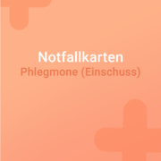 Notfallkarte Einschuss, Phlegmone, Notfall Einschuss, Einschuss beim Pferd