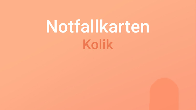 Notfallkarte Kolik, Notfall Kolik, Kolik beim Pferd