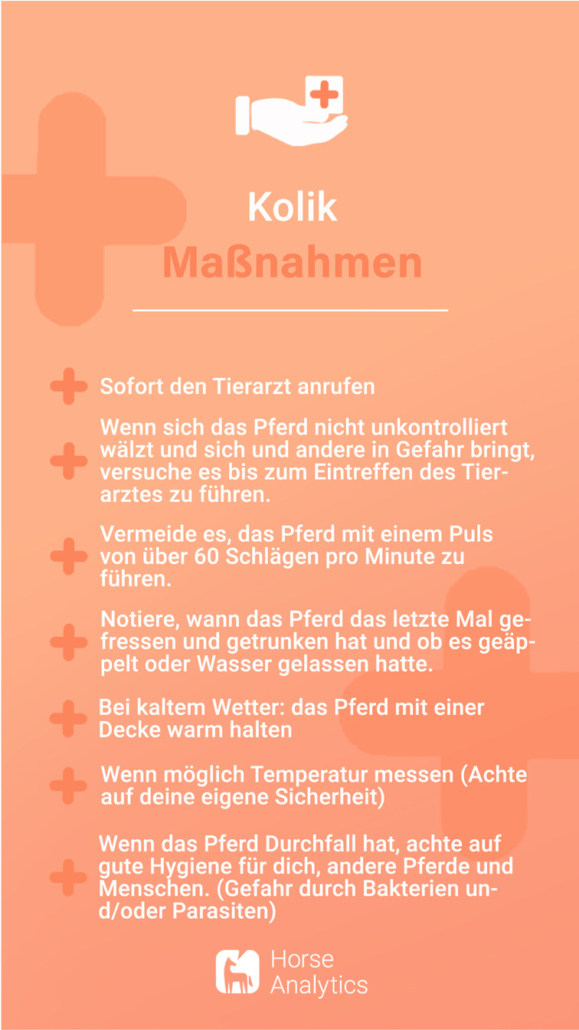 Notfallkarte Kolik, Notfall Kolik, Kolik beim Pferd Maßnahmen, was tun bei Kolik