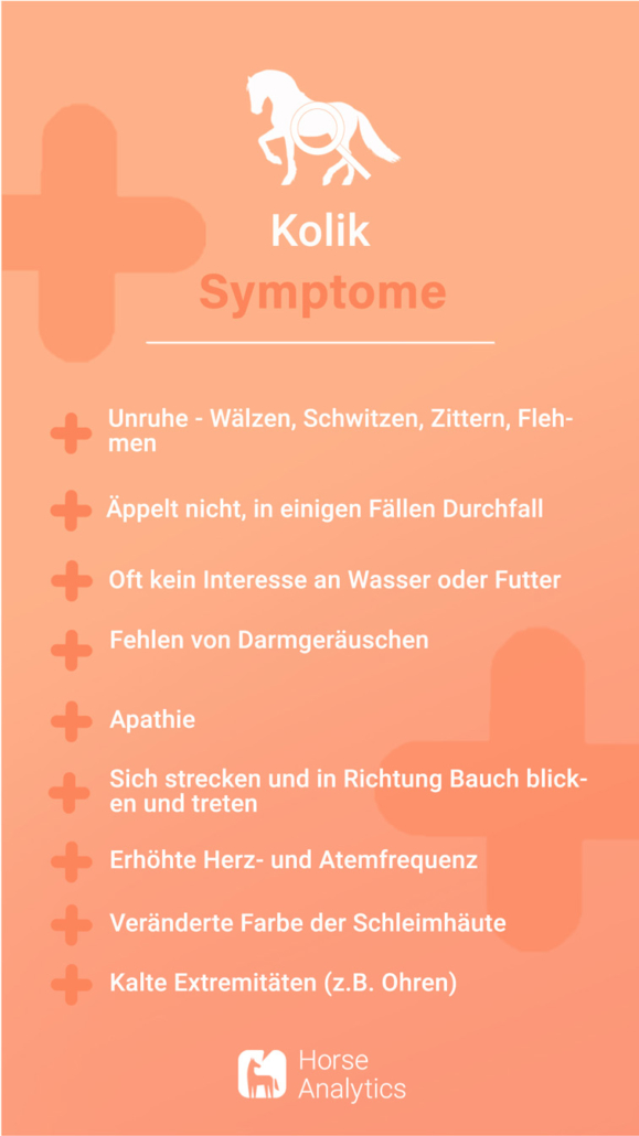Notfallkarte Kolik, Notfall Kolik, Kolik beim Pferd Symptome, wie zeigt sich eine Kolik