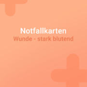 Notfallkarte stark blutende Wunde, Pferd stark blutende Wunde, Pferd Wunde