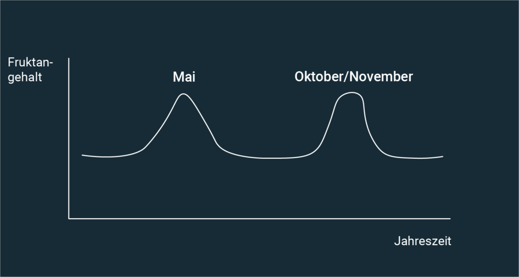 Der Fruktangehalt steigt im Mai sowie im Oktober und November