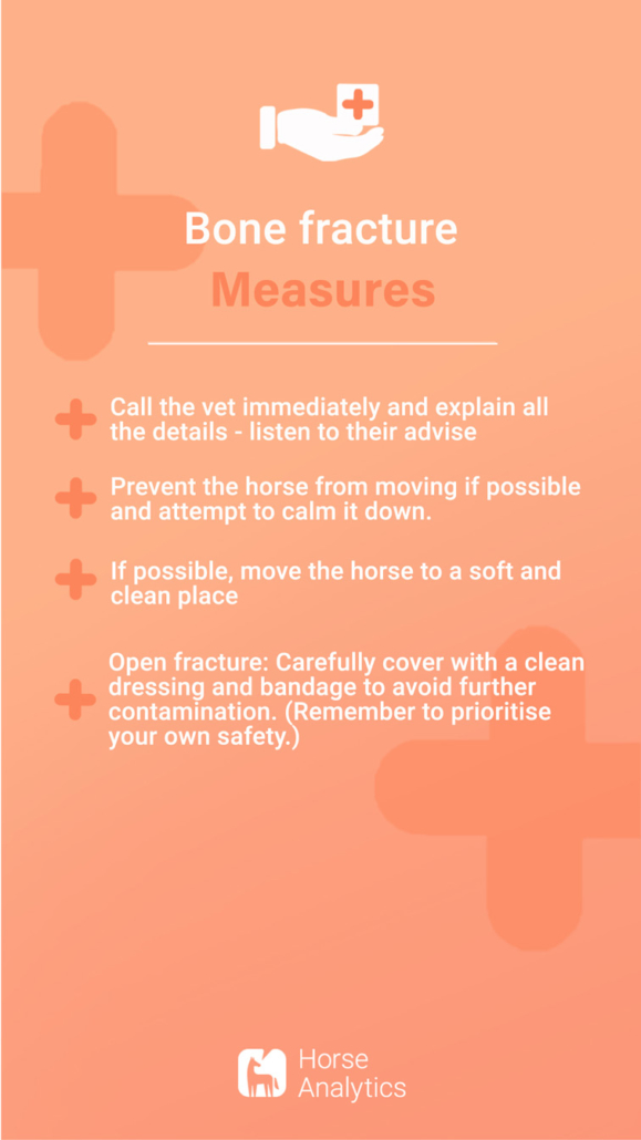 Emergency bone fracture card, bone fracture in horse, emergency bone fracture measures, bone fracture horse what to do