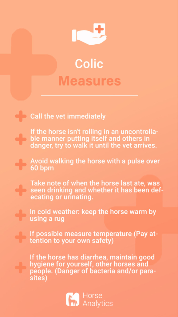 Emergency card colic, emergency colic, colic in horse measures, what to do in case of colic