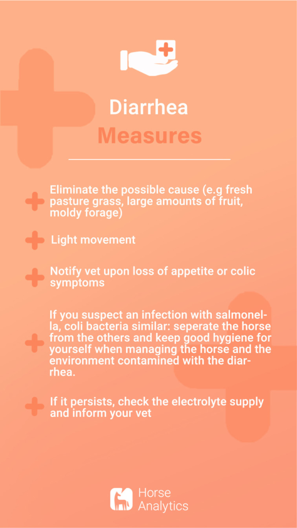 Emergency card diarrhea, diarrhea in horse, diarrhea horse measures, diarrhea horse what to do