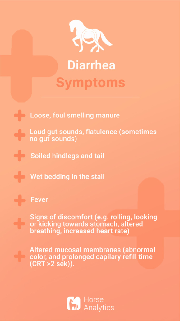 Emergency card diarrhea, diarrhea in horse, diarrhea horse symptoms