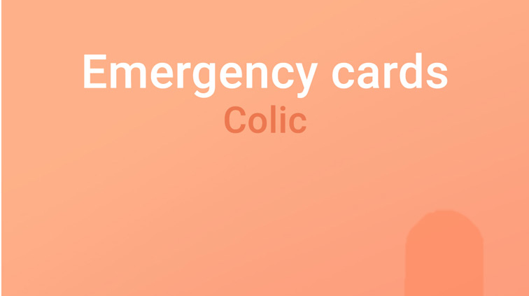 Emergency card colic, emergency colic, colic in horse