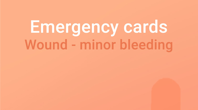 Emergency card minor bleeding wound, emergency wound, light bleeding wound horse