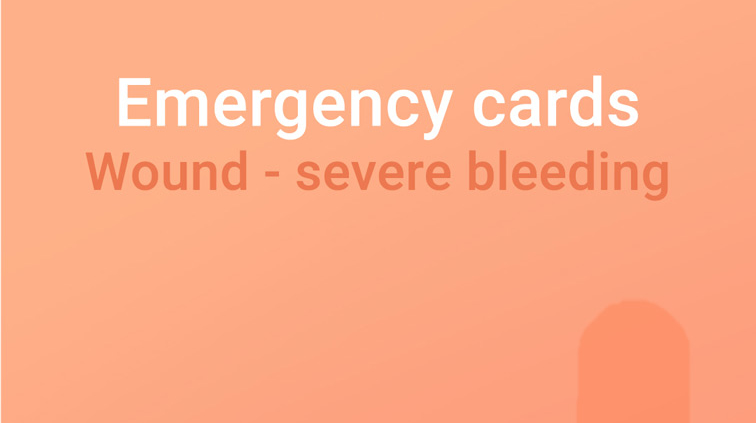 Emergency card severe bleeding wound, horse strong bleeding wound, horse wound