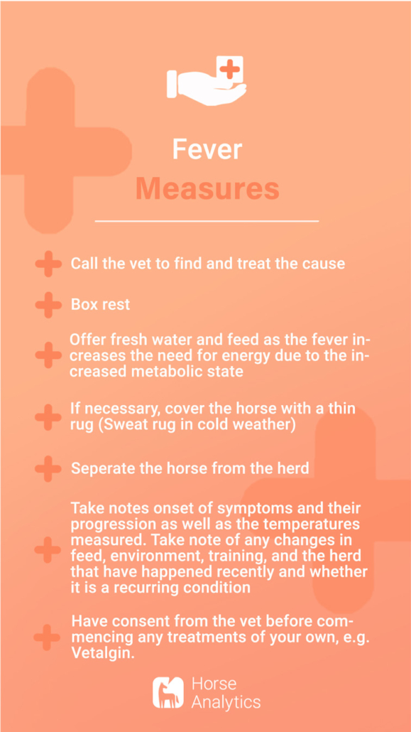 Emergency cards horse, emergency fever, horse has fever, fever horse what to do
