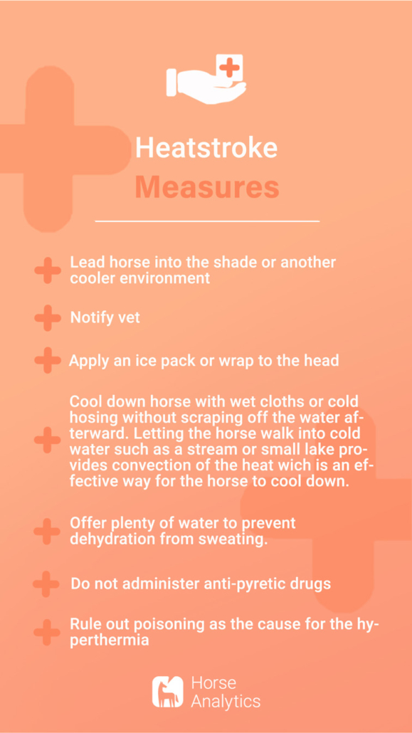 Emergency card heat stroke, emergency heat stroke in horse, heat stroke in horse, heat stroke horse measures, what to do heat stroke in horse
