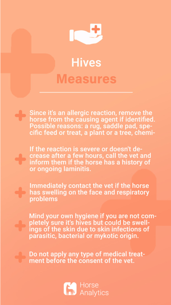 Emergency card hives, emergency hives, hives in the horse measures, what to do in hives