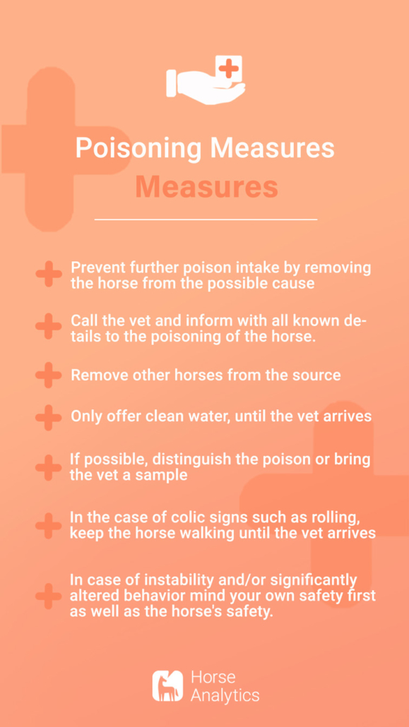 Emergency card poisoning, emergency poisoning, poisoning in horse what to do
