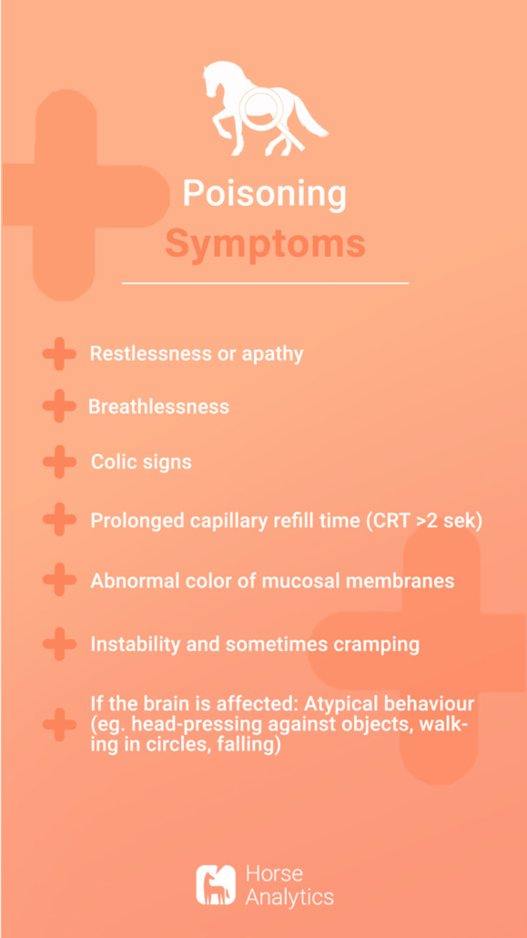 Emergency card poisoning, emergency poisoning, poisoning in horse symptoms, how does poisoning show horse
