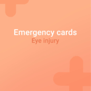 Emergency card eye injury, eye injury horse
