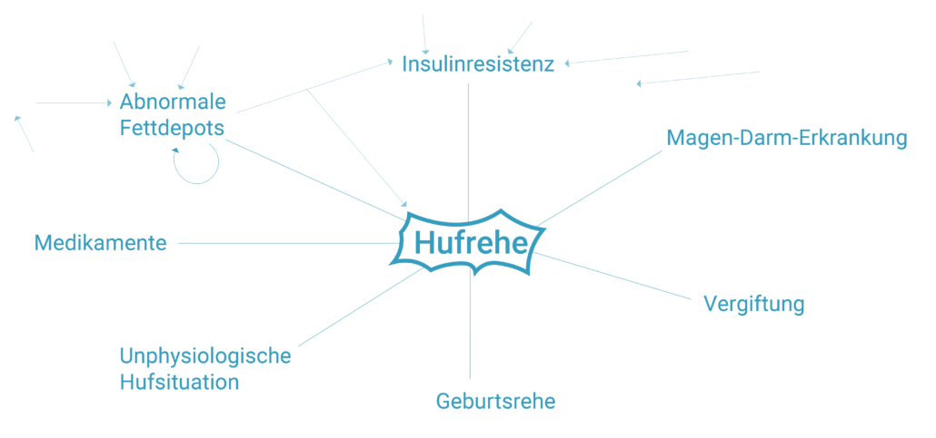 Hufrehe Auslöser, Fettdepots, Insulinresistenz, Geburtsrehe, Vergiftung, Magen-Darm-Erkrankung