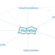 Hufrehe Auslöser, Fettdepots, Insulinresistenz, Geburtsrehe, Vergiftung, Magen-Darm-Erkrankung