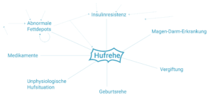 Hufrehe Auslöser, Fettdepots, Insulinresistenz, Geburtsrehe, Vergiftung, Magen-Darm-Erkrankung