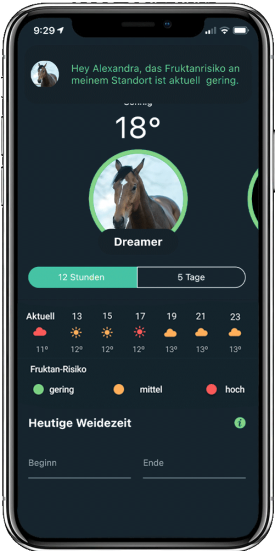 HorseAnalytics, Grasen, Management, Fruktanrisiko, Risiko beim Grasen, Weidemanagement