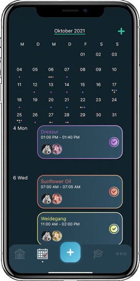 Kalender, Stallmanagement, Pferdeorganisation, Digitales Whiteboard